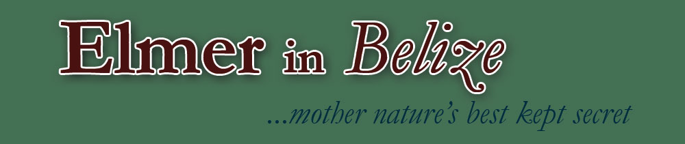 Elmer in Belize... Mother Nature's Best Kept Secret